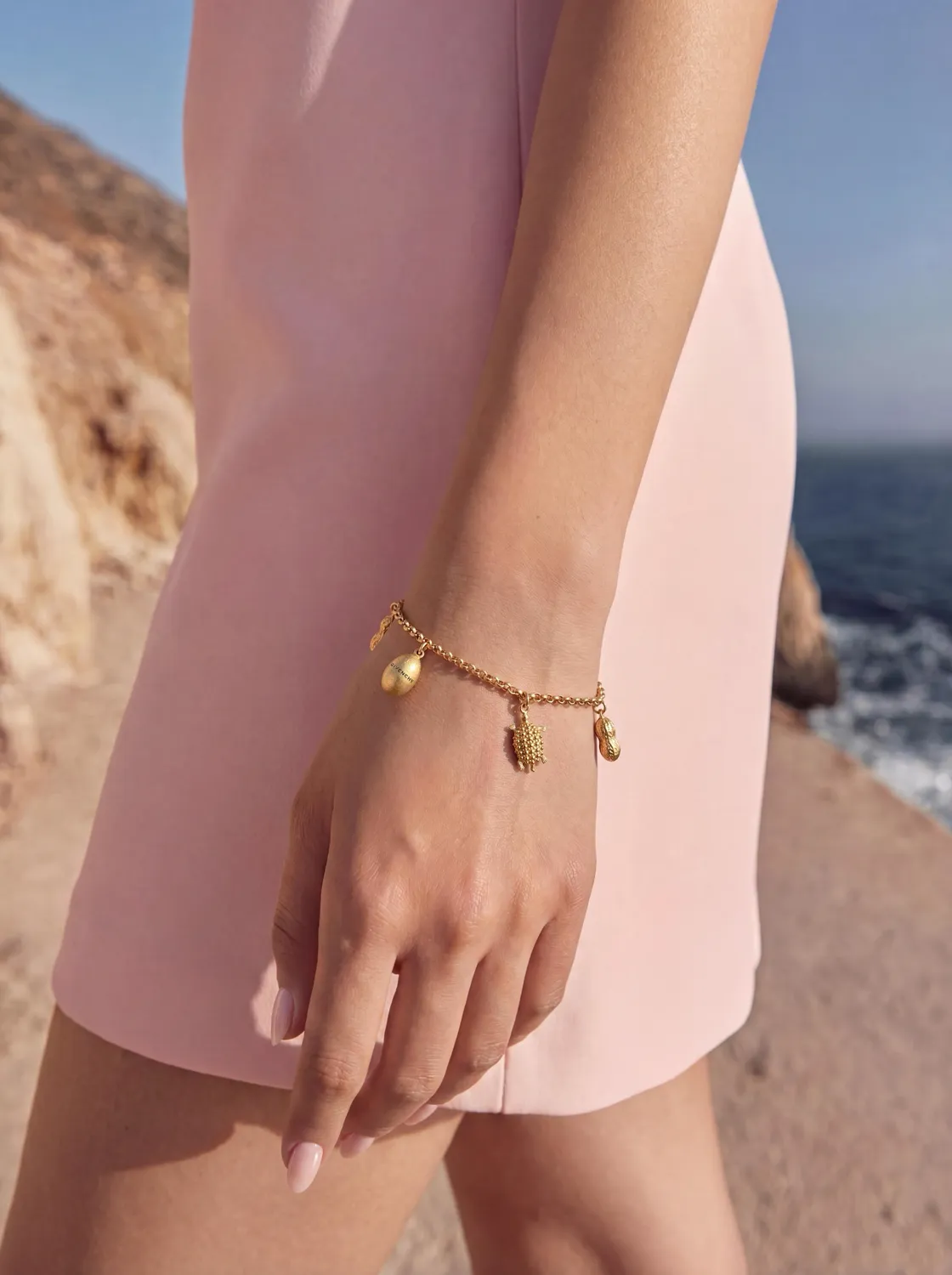 Charm bracelet on a wrist against a cliff